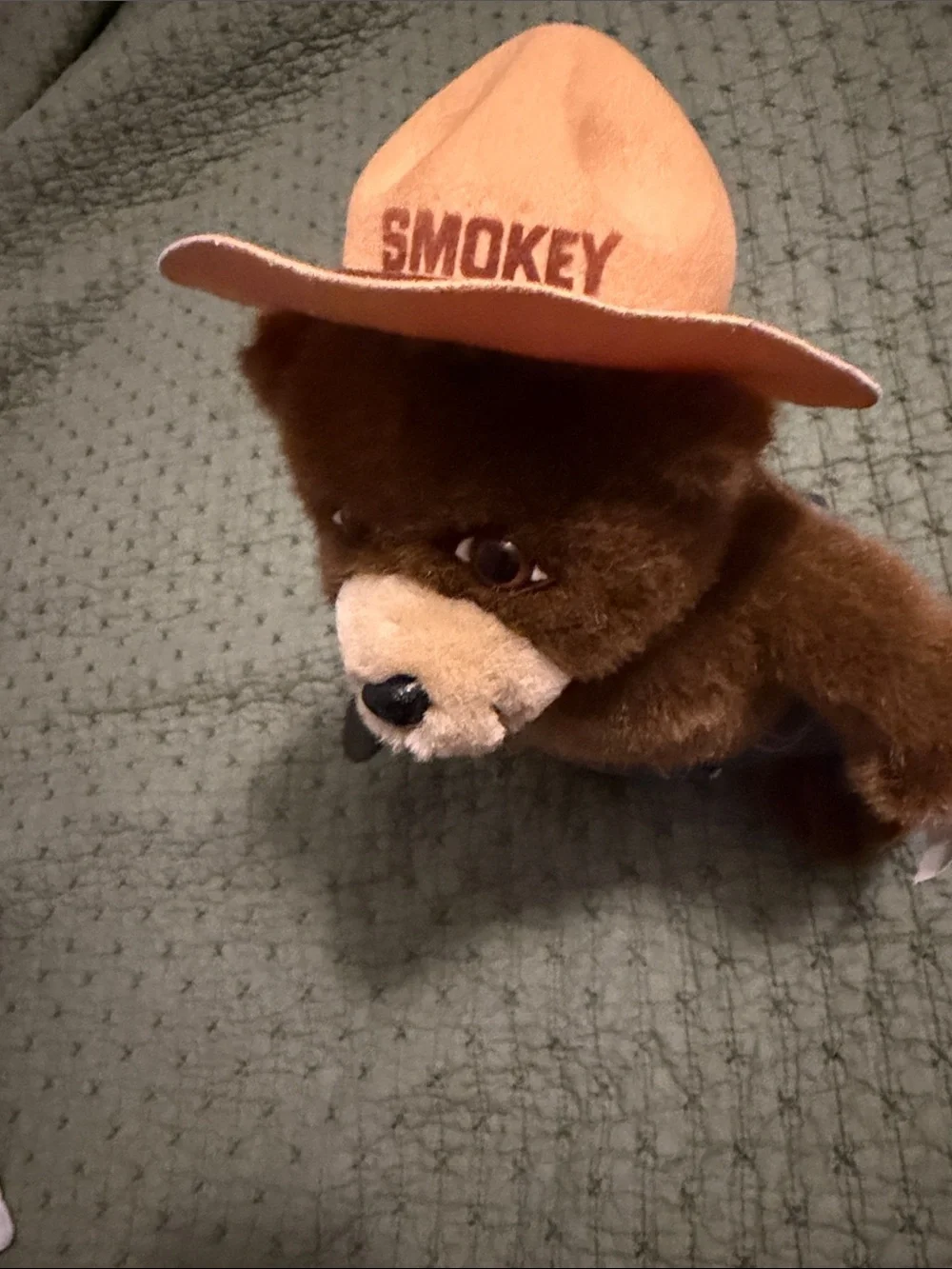 Bear Plush Toy with Orange Hat - Kids Toys